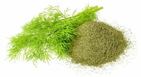 قیمت سبزی شوید خشک کیلویی امروز بازار شیراز + شرایط خرید